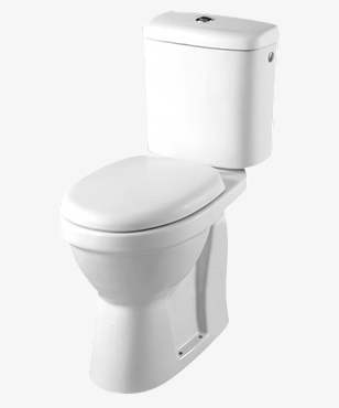 wc-rsureleve wc surelevé